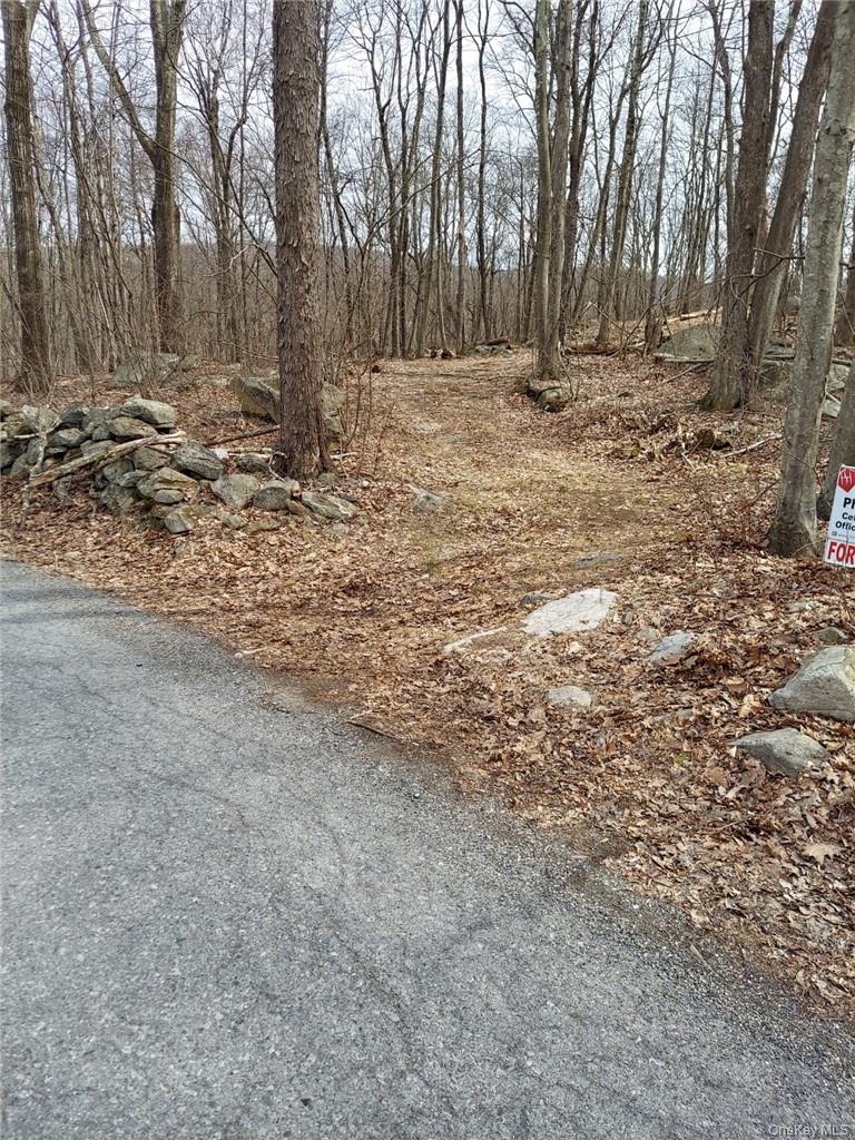 489 Grape Hollow Road Property Photo 4