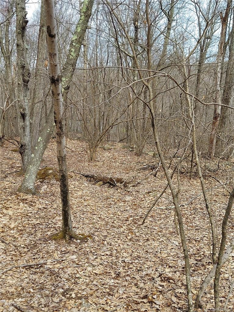 489 Grape Hollow Road Property Photo 8