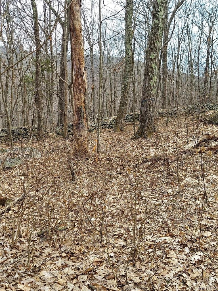 489 Grape Hollow Road Property Photo 9