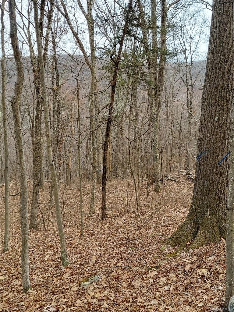 489 Grape Hollow Road Property Photo 10