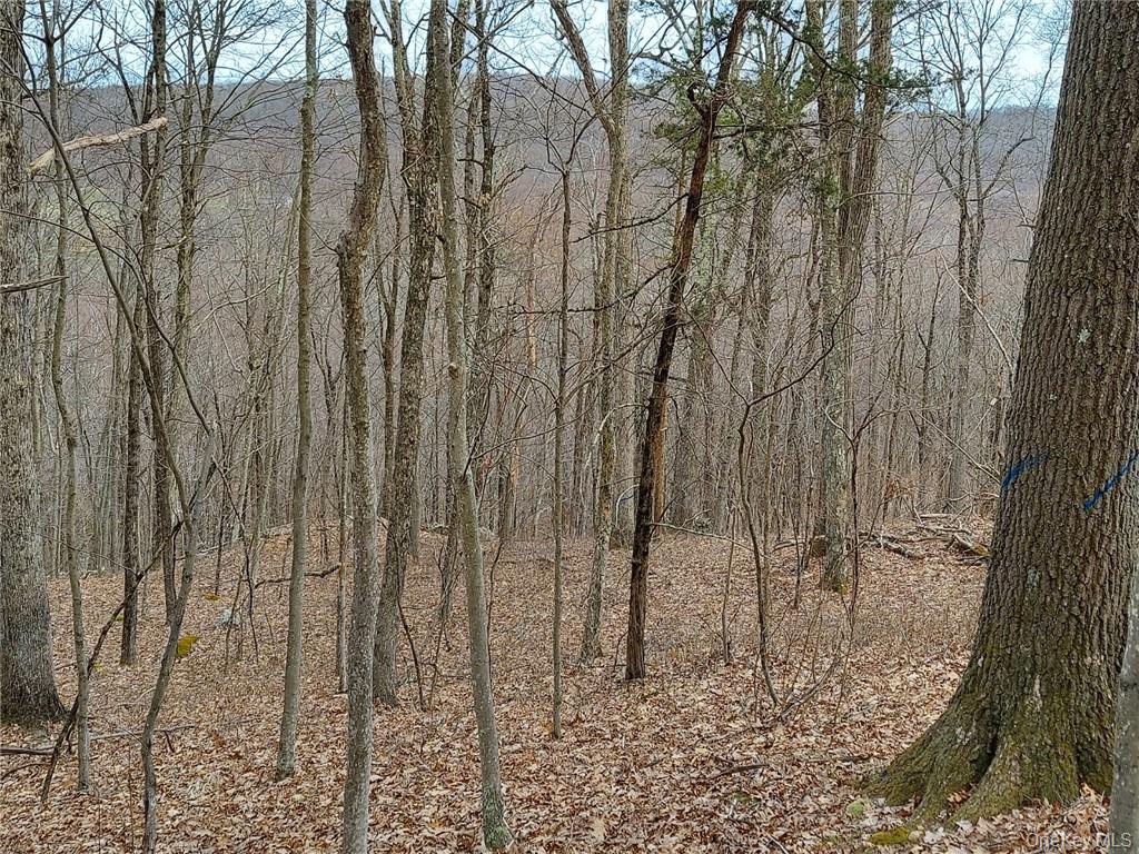489 Grape Hollow Road Property Photo 11