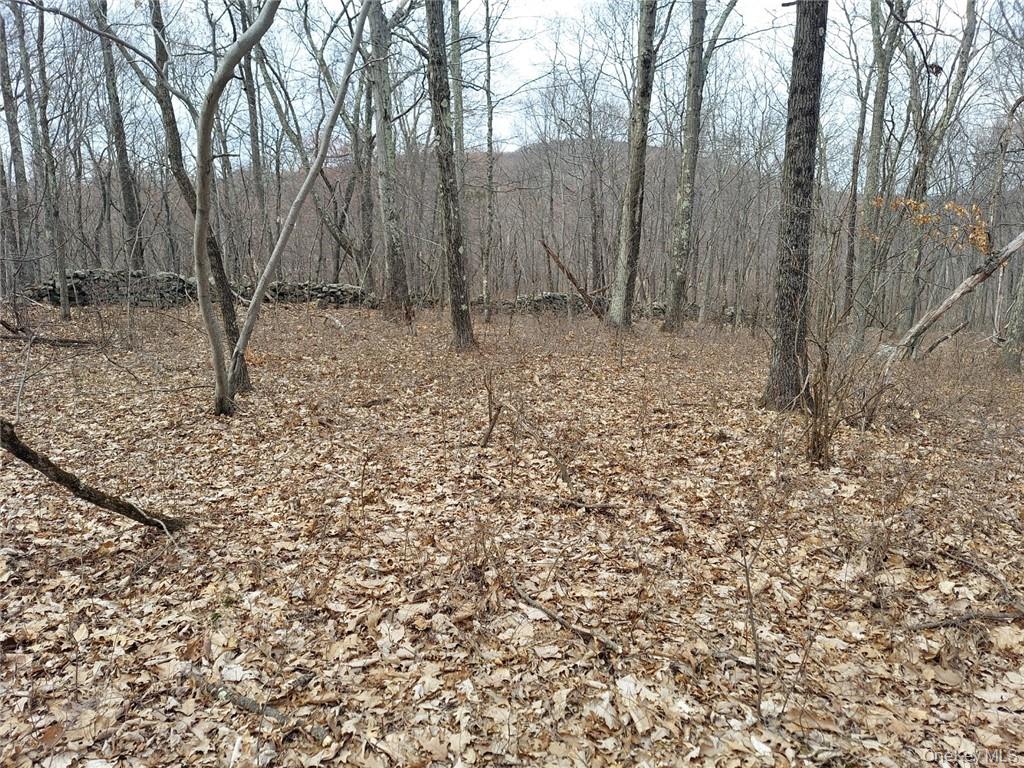 489 Grape Hollow Road Property Photo 12
