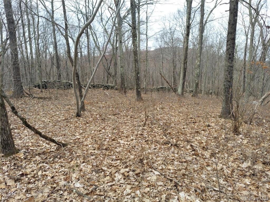 489 Grape Hollow Road Property Photo 13