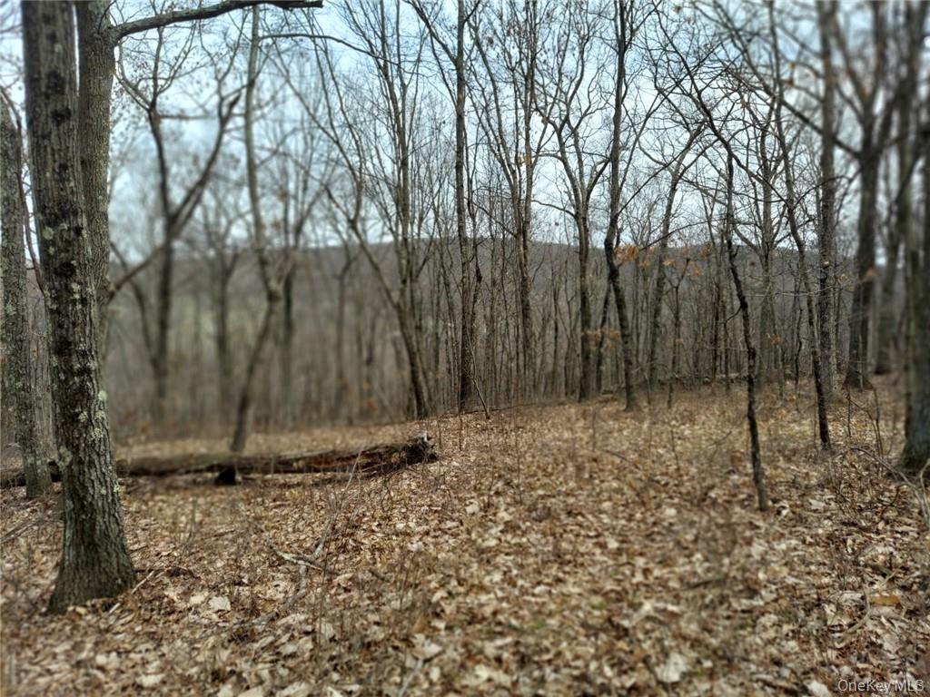 489 Grape Hollow Road Property Photo 14
