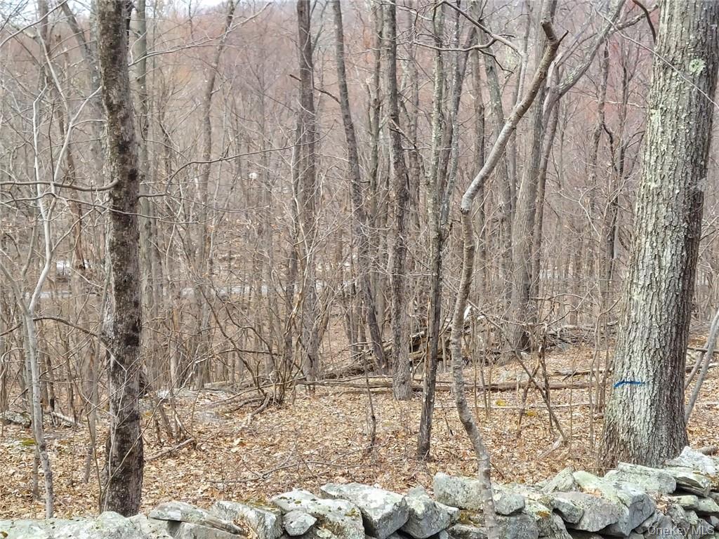 489 Grape Hollow Road Property Photo 15