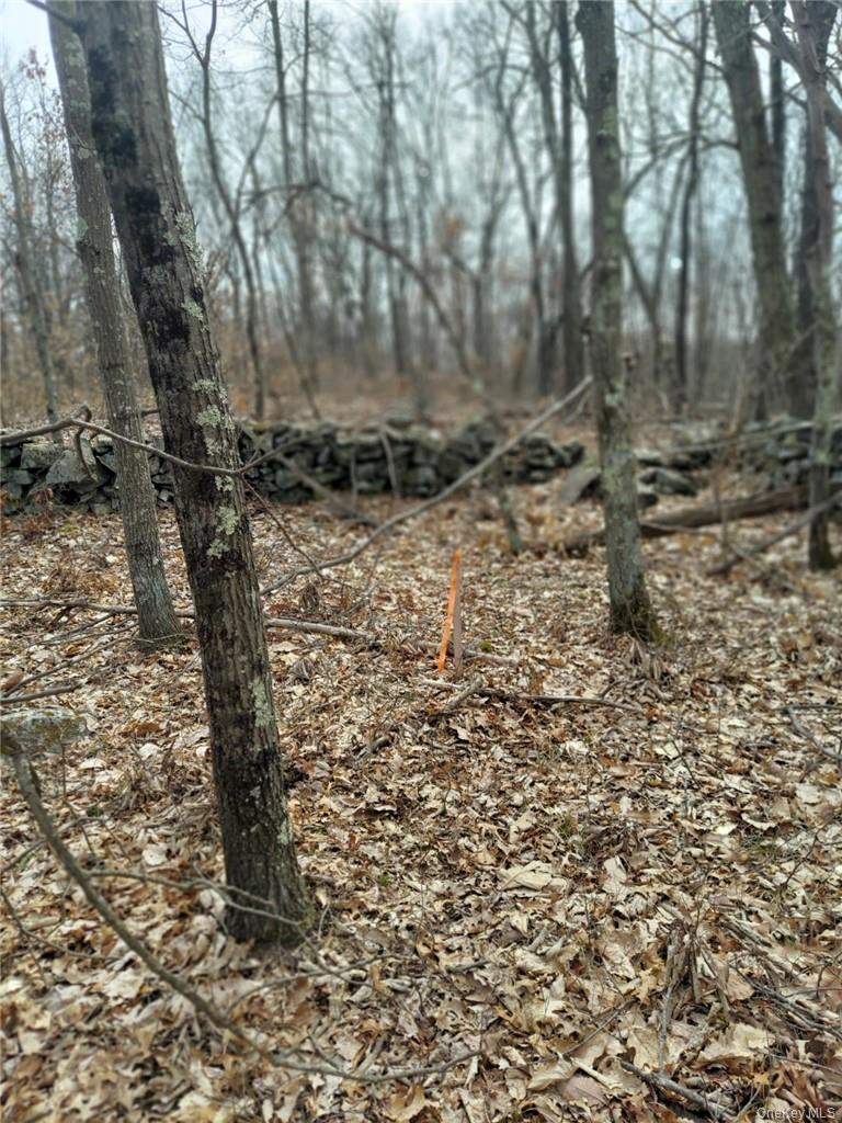 489 Grape Hollow Road Property Photo 16