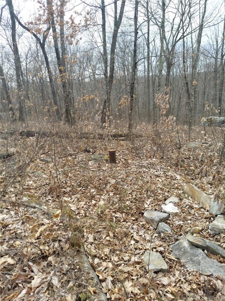 489 Grape Hollow Road Property Photo 17
