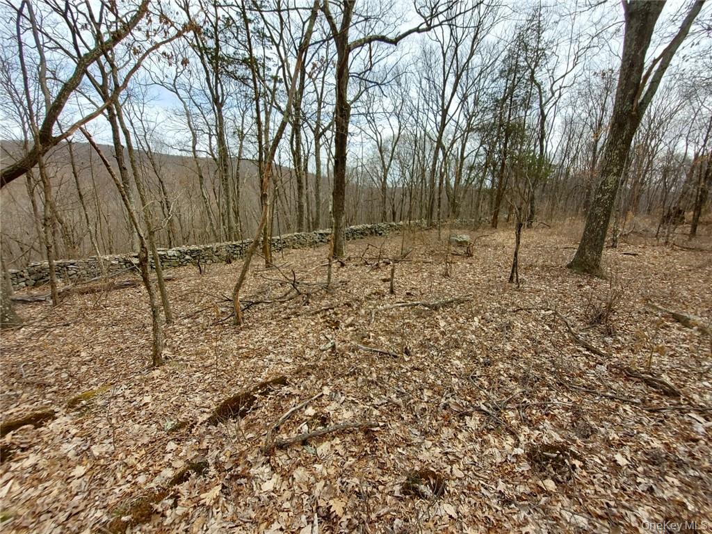 489 Grape Hollow Road Property Photo 18