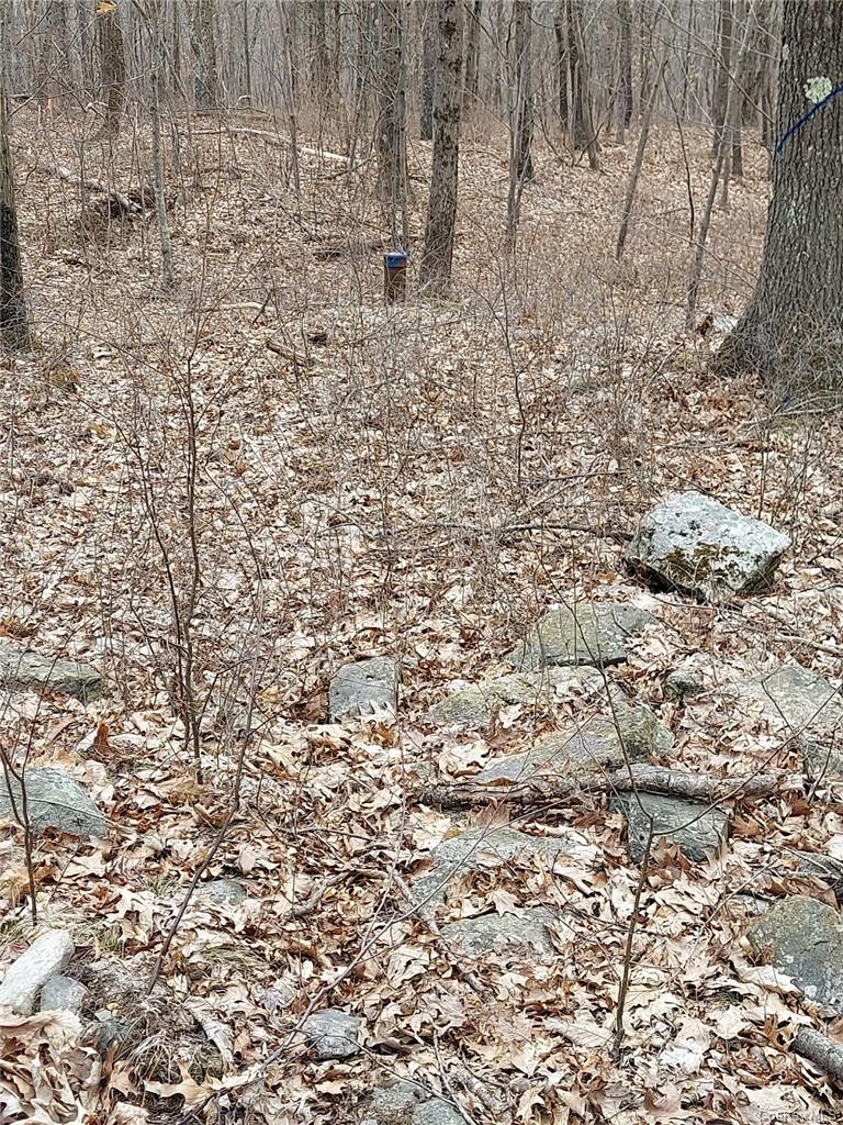 489 Grape Hollow Road Property Photo 19