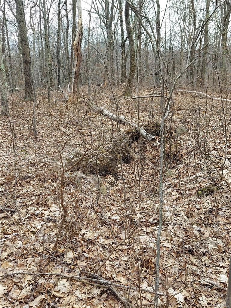 489 Grape Hollow Road Property Photo 20
