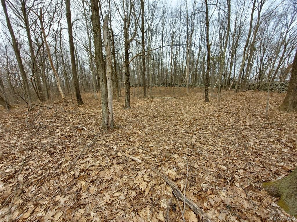 489 Grape Hollow Road Property Photo 21
