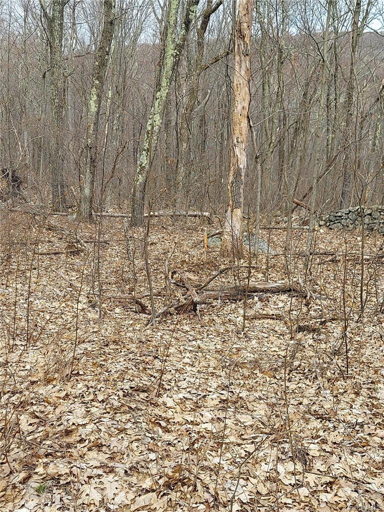 489 Grape Hollow Road Property Photo 23