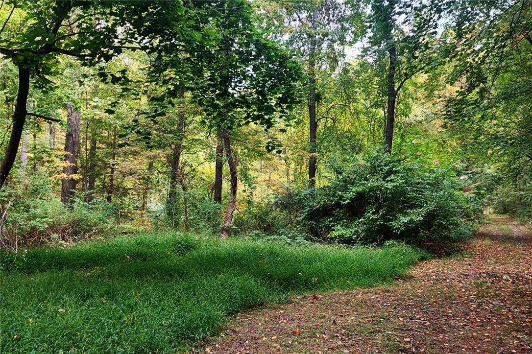 Clubhouse Road Property Photo