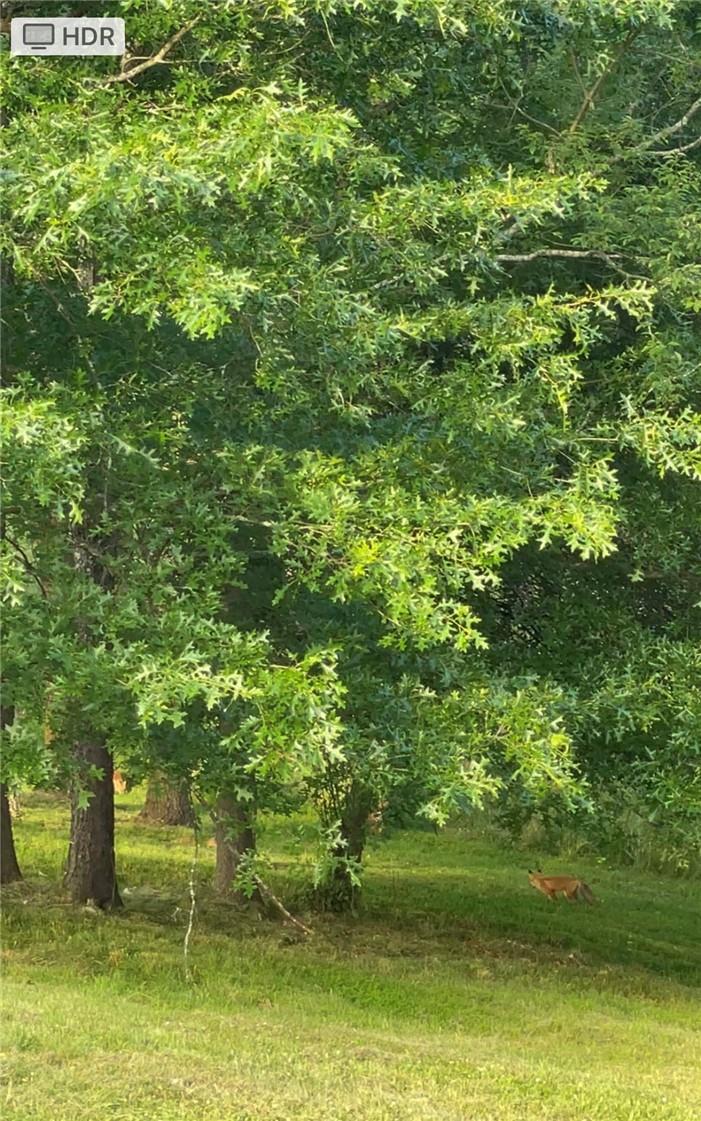 1770 Route 208 Property Photo 14