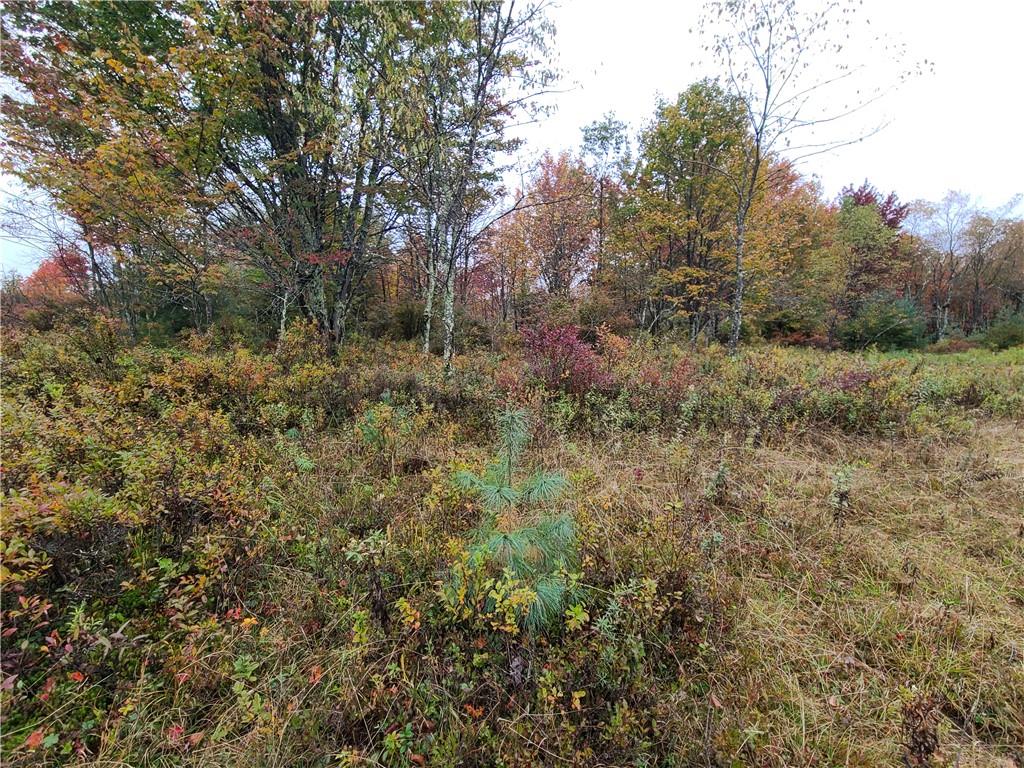 116 Voss Road Property Photo 1