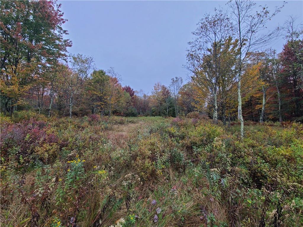 116 Voss Road Property Photo 2