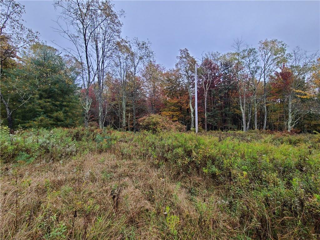 116 Voss Road Property Photo 3