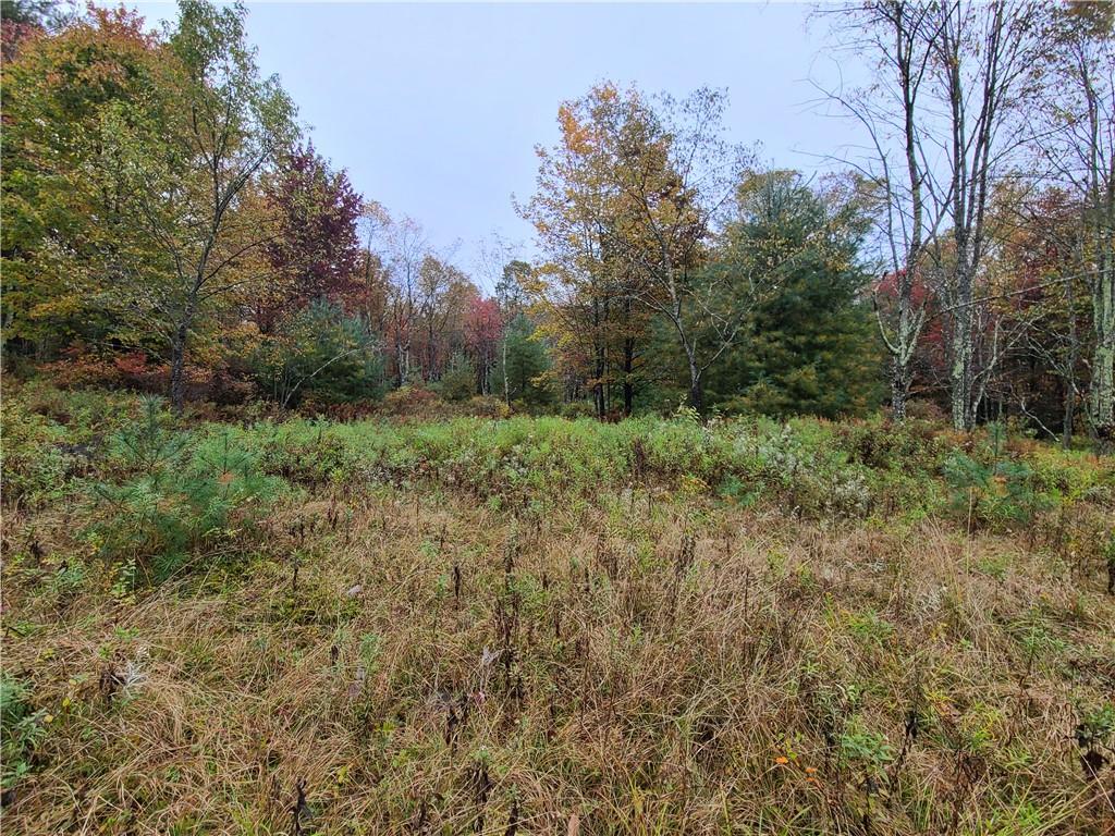 116 Voss Road Property Photo 4