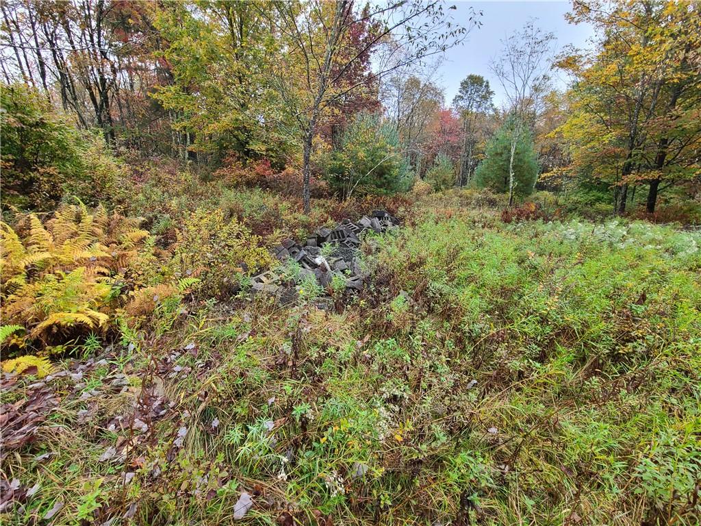 116 Voss Road Property Photo 5