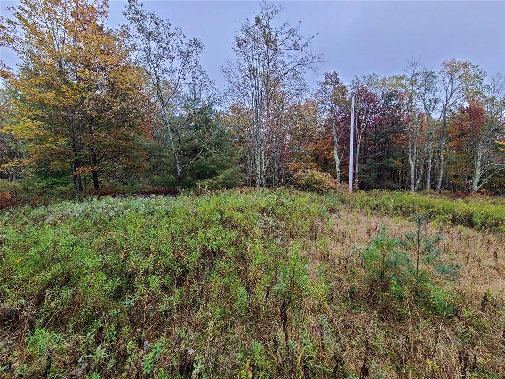 116 Voss Road Property Photo 6