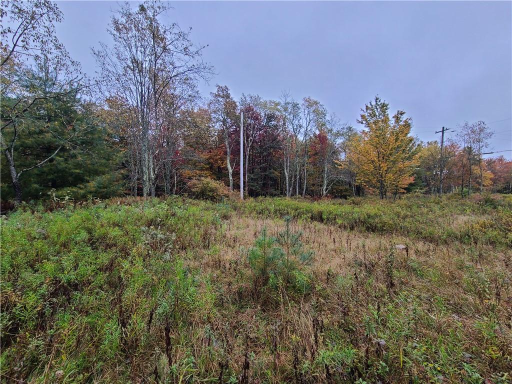 116 Voss Road Property Photo 7