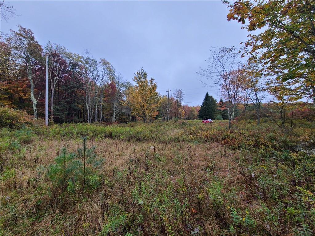 116 Voss Road Property Photo 8