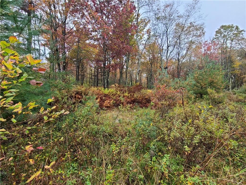 116 Voss Road Property Photo 9