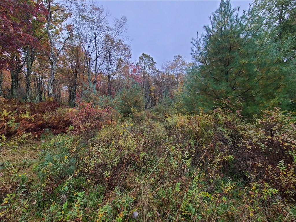 116 Voss Road Property Photo 10