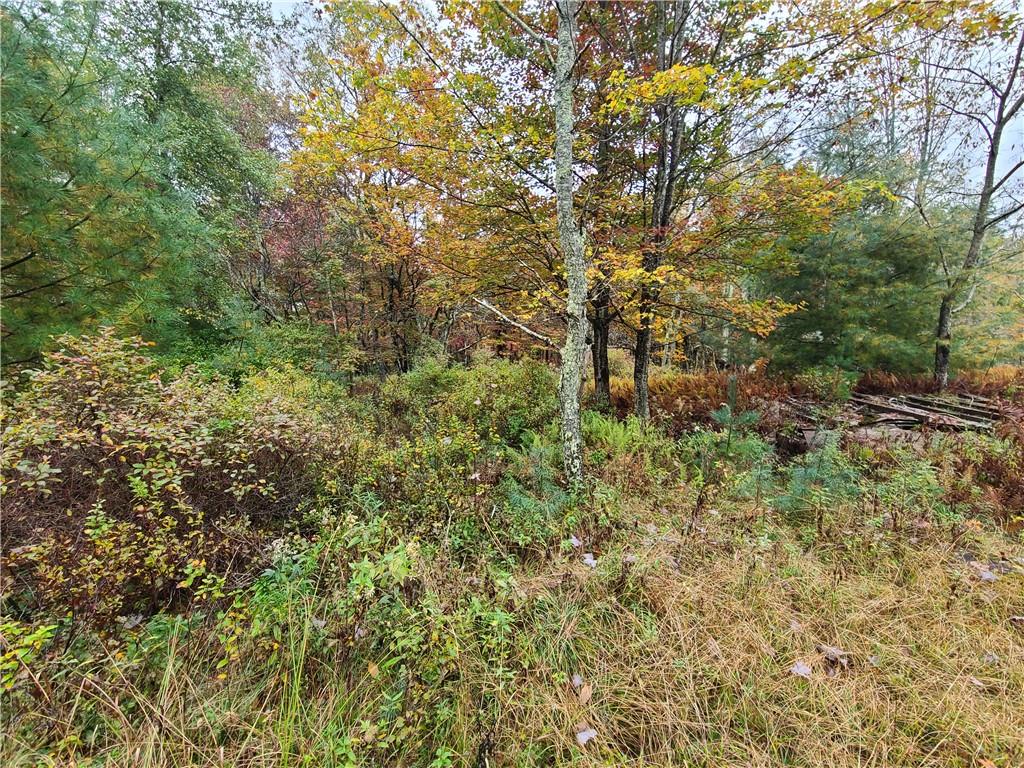116 Voss Road Property Photo 11