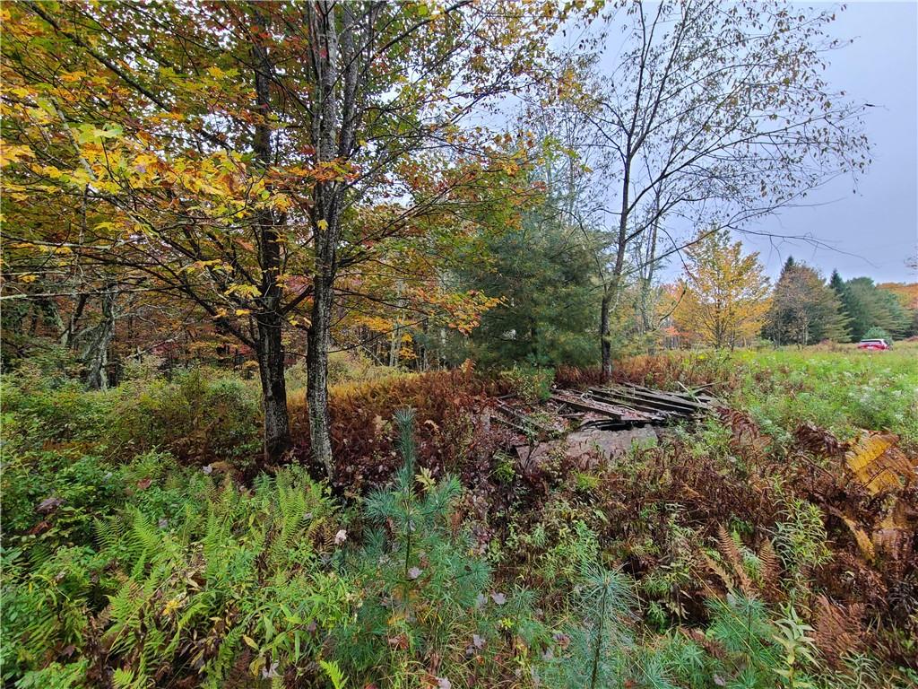 116 Voss Road Property Photo 12