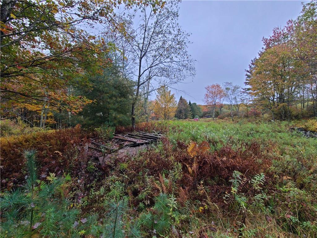 116 Voss Road Property Photo 13
