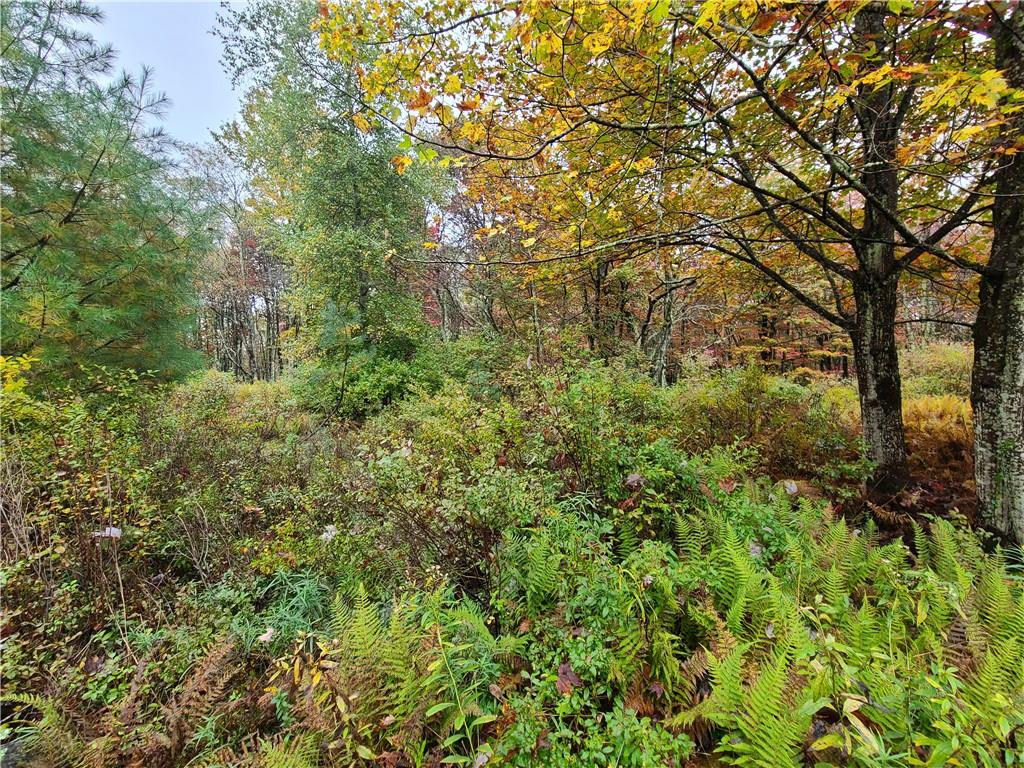 116 Voss Road Property Photo 14
