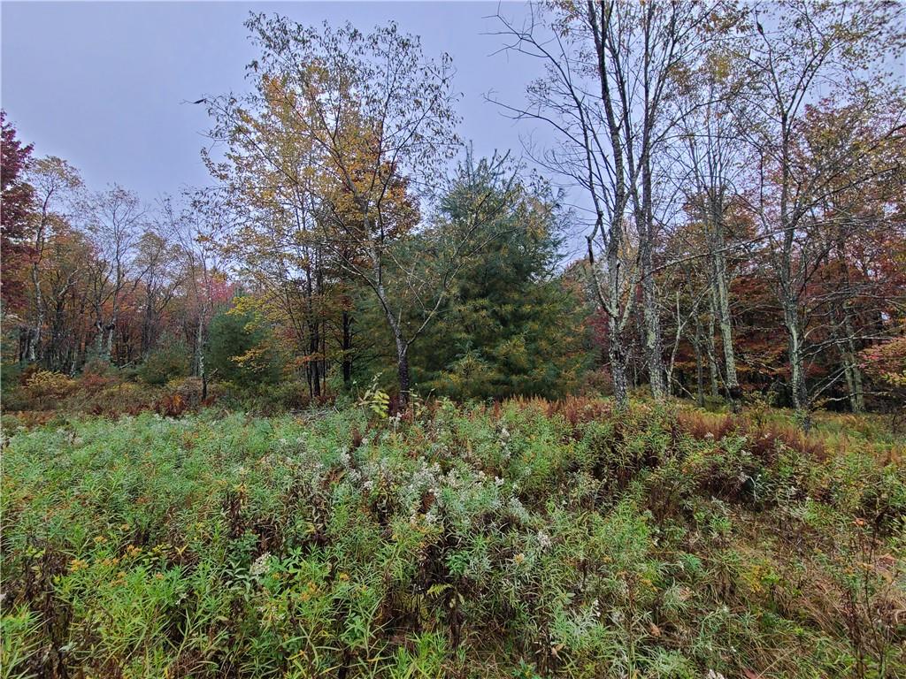 116 Voss Road Property Photo 15