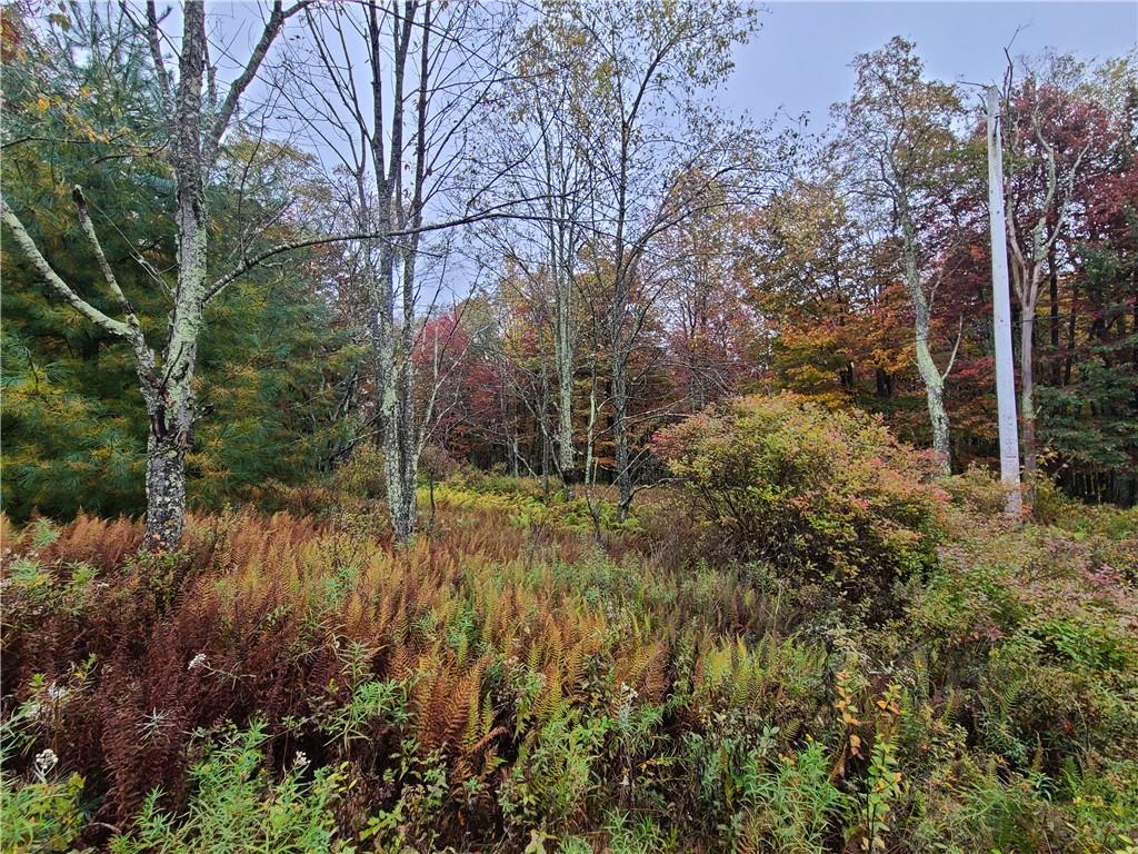 116 Voss Road Property Photo 16