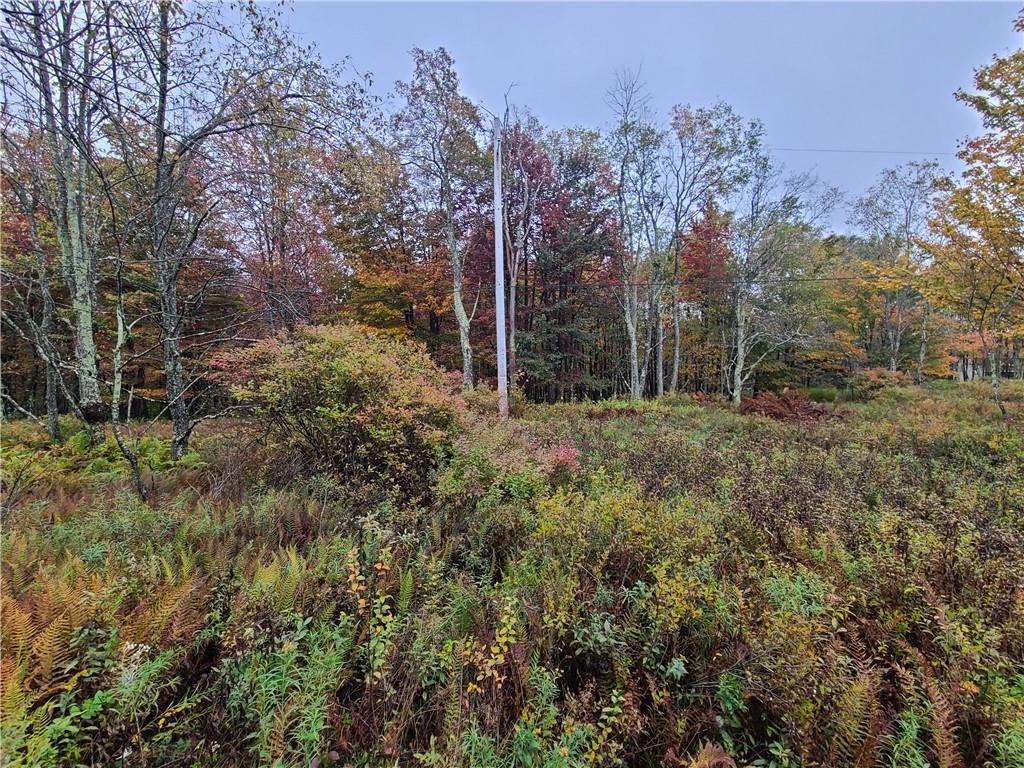 116 Voss Road Property Photo 17