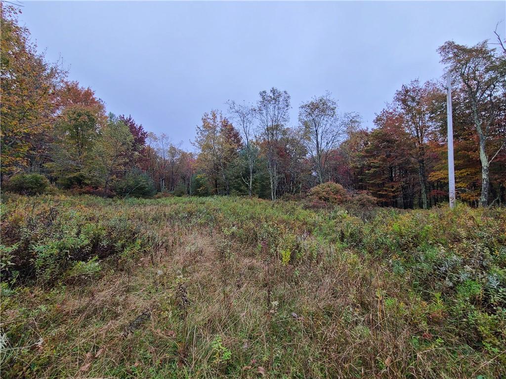 116 Voss Road Property Photo 26