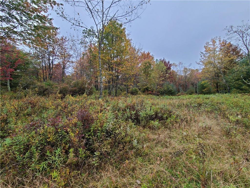 116 Voss Road Property Photo 27