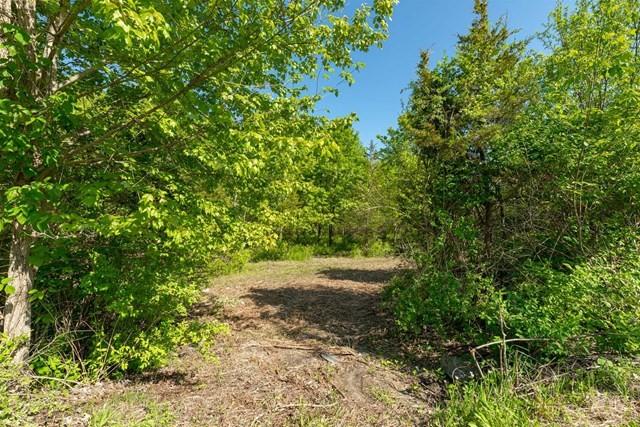 Rt 55 / Lauer Road Property Photo 10