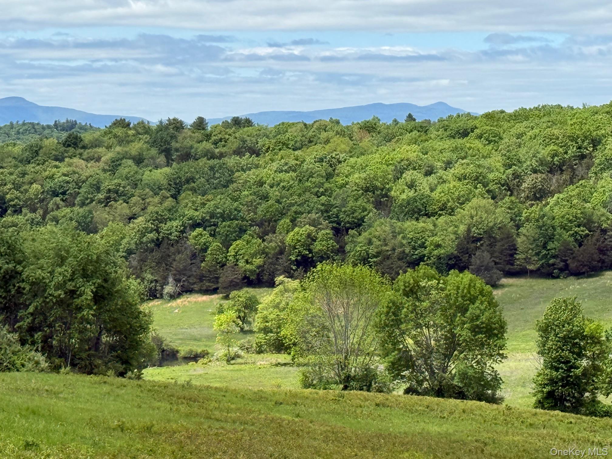 Woodward Hill,stissng Mount, Hicks Hill, Route 199 Property Photo 1