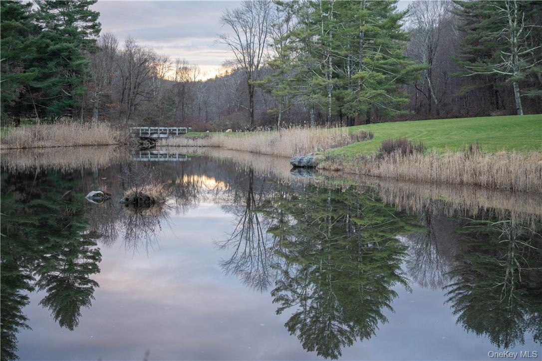 165 Duell Hollow Road Property Photo 2