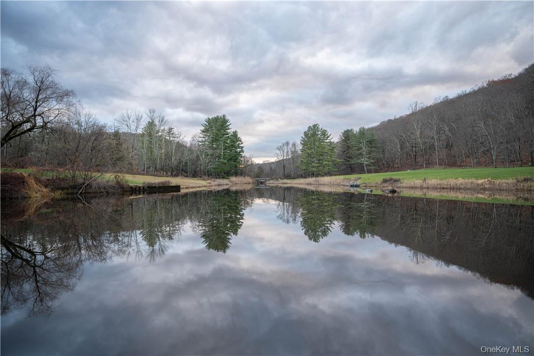 165 Duell Hollow Road Property Photo 20