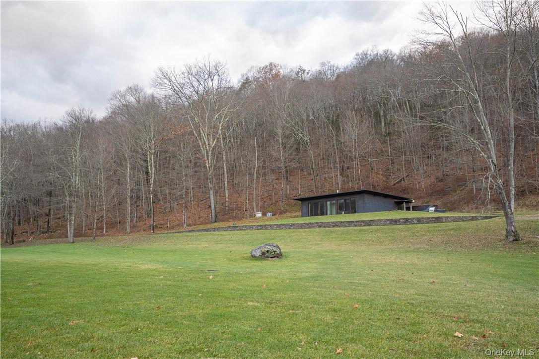 165 Duell Hollow Road Property Photo 22