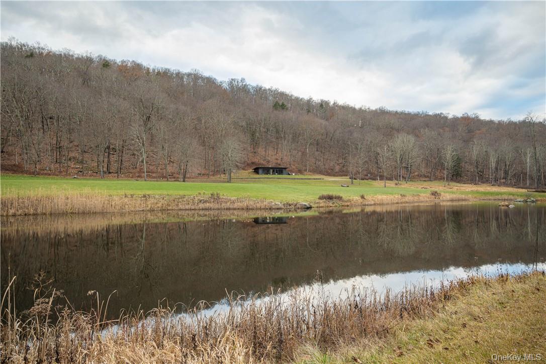165 Duell Hollow Road Property Photo 28