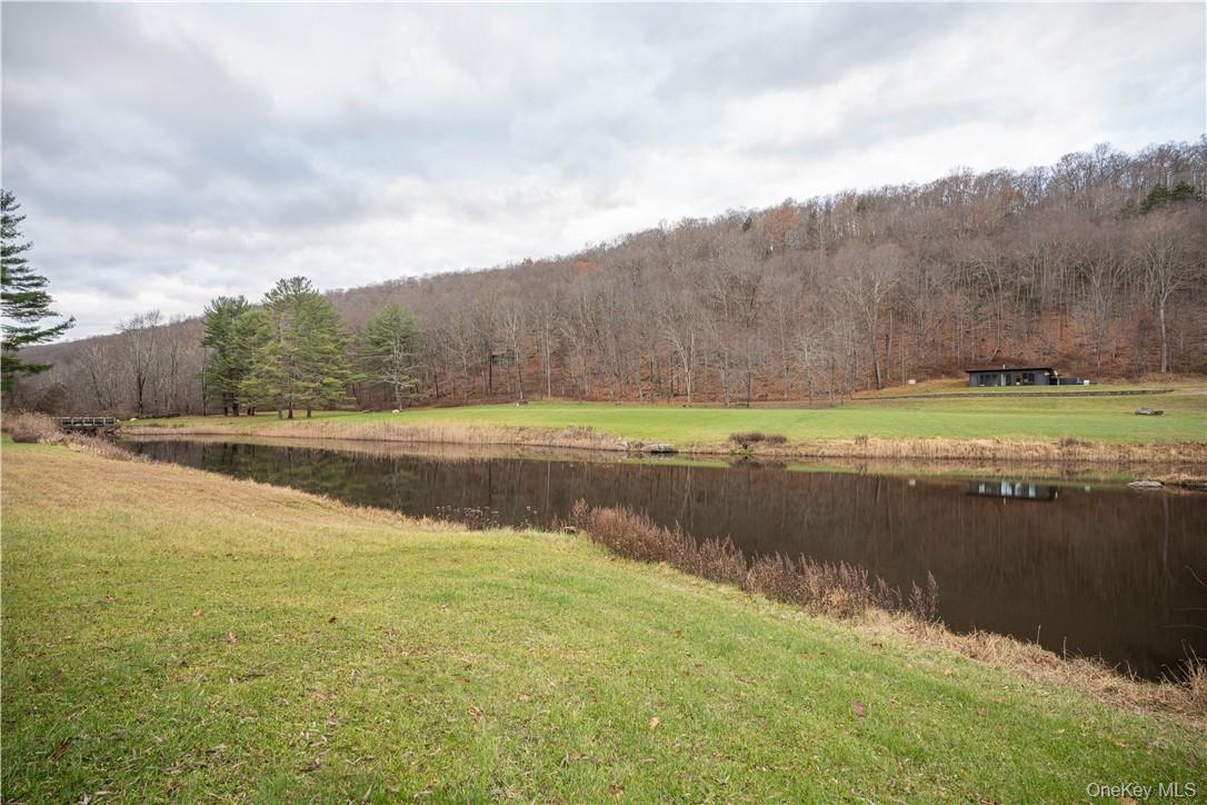 165 Duell Hollow Road Property Photo 29