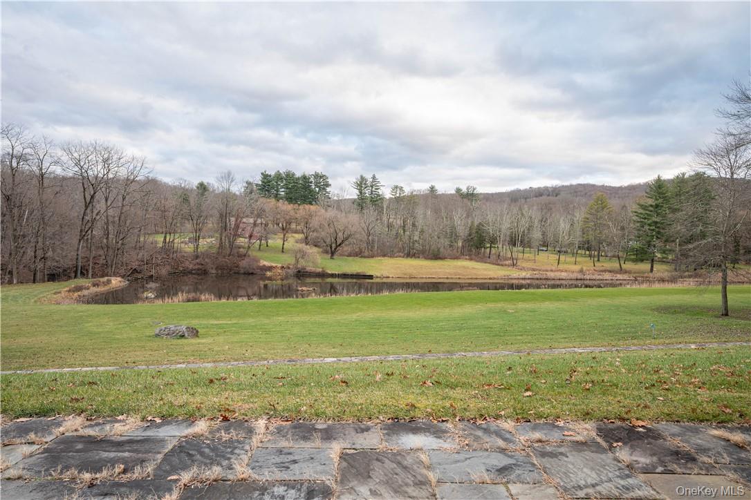 165 Duell Hollow Road Property Photo 30