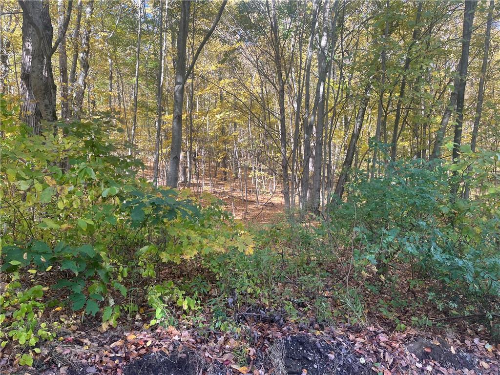 0 Budd Lane Property Photo