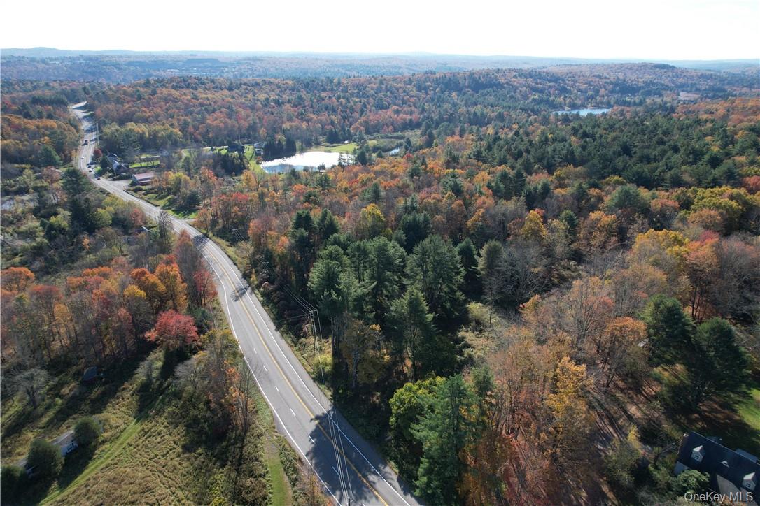 1195 Nys Route 17b Property Photo 1