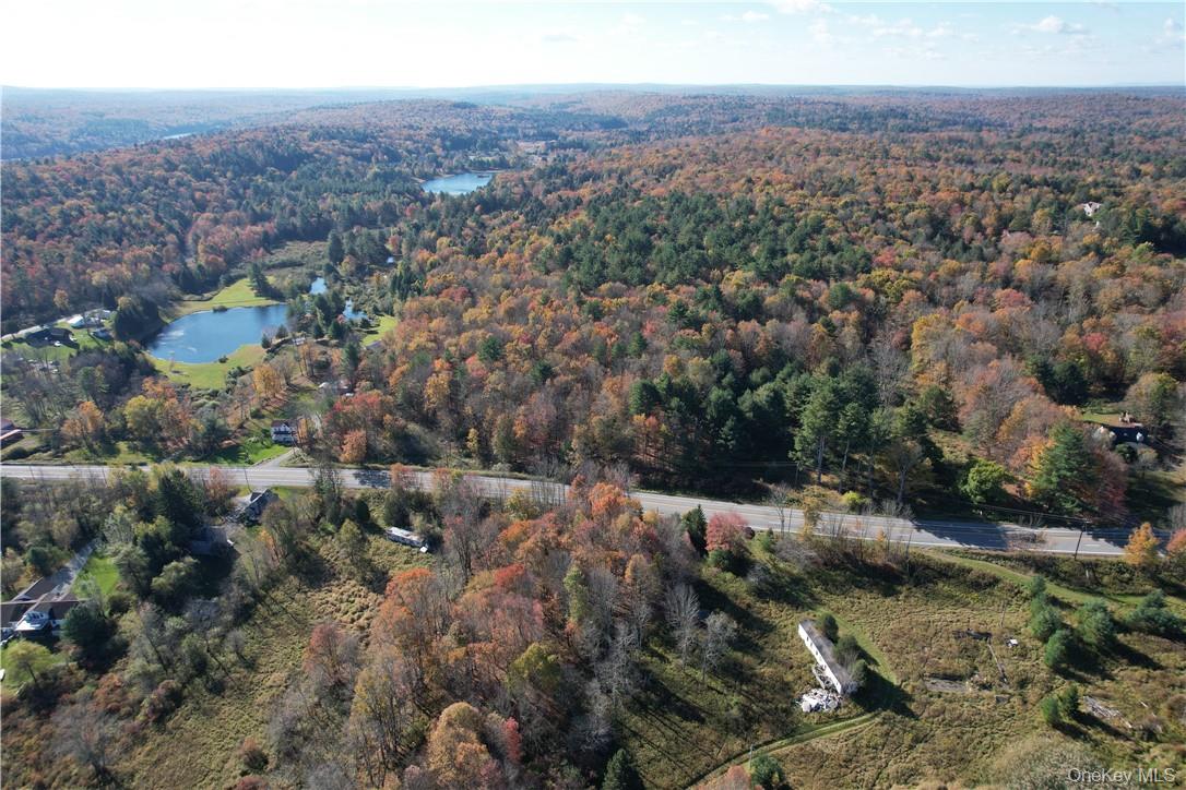 1195 Nys Route 17b Property Photo 3