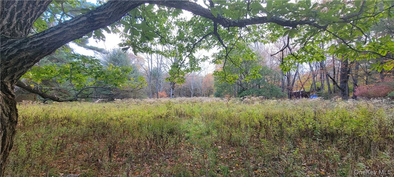 1195 Nys Route 17b Property Photo 4