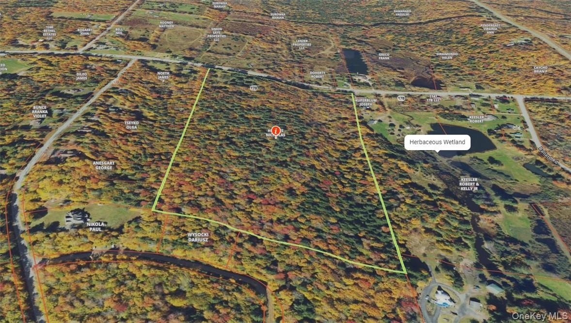 1195 Nys Route 17b Property Photo 5
